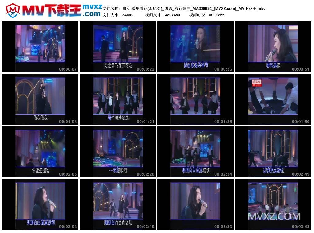 那英-雾里看花(演唱会)_国语_流行歌曲_MA308624